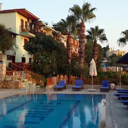 Delfin Patara