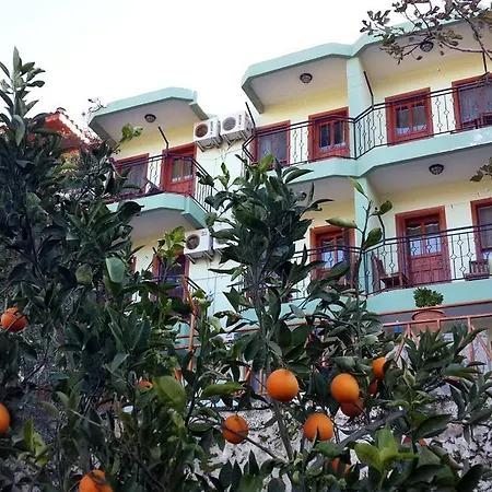Delfin Hotell 2*