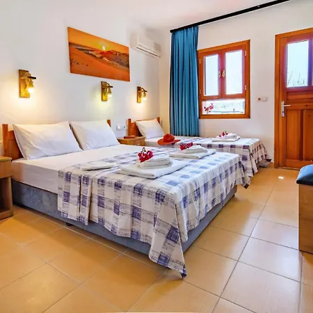 Delfin Hotell 2*